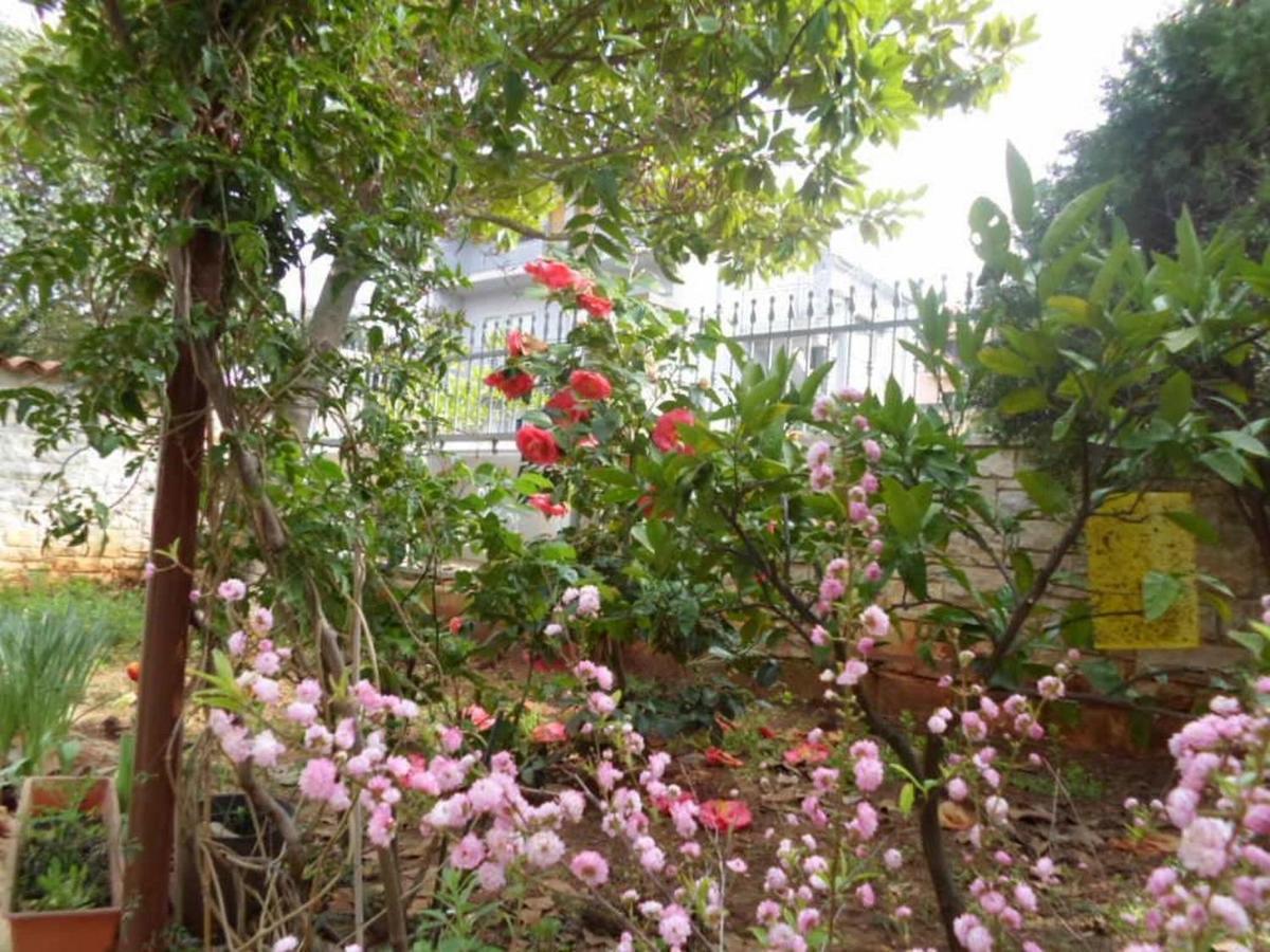Apartma With A Parking Space Banjole, - 17398 Pula